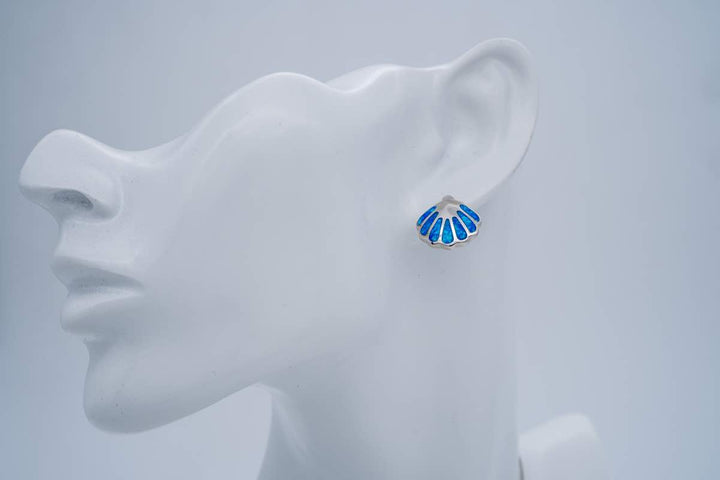 Muschel Ohrstecker