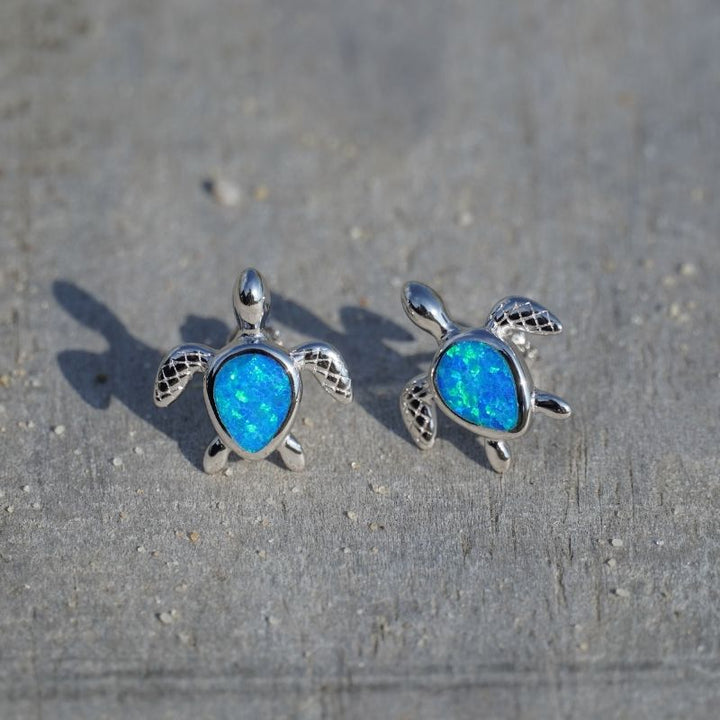 Schildkröten Ohrstecker